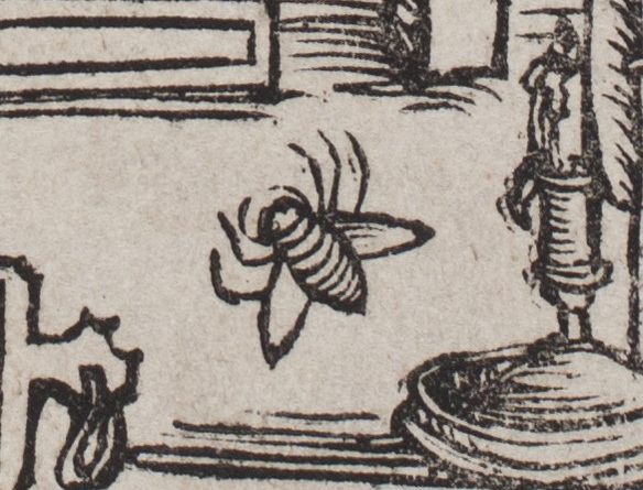 Вариант 1517b: пятиногая муха. Библиотека Академии Наук, НИОРК, 994 СП