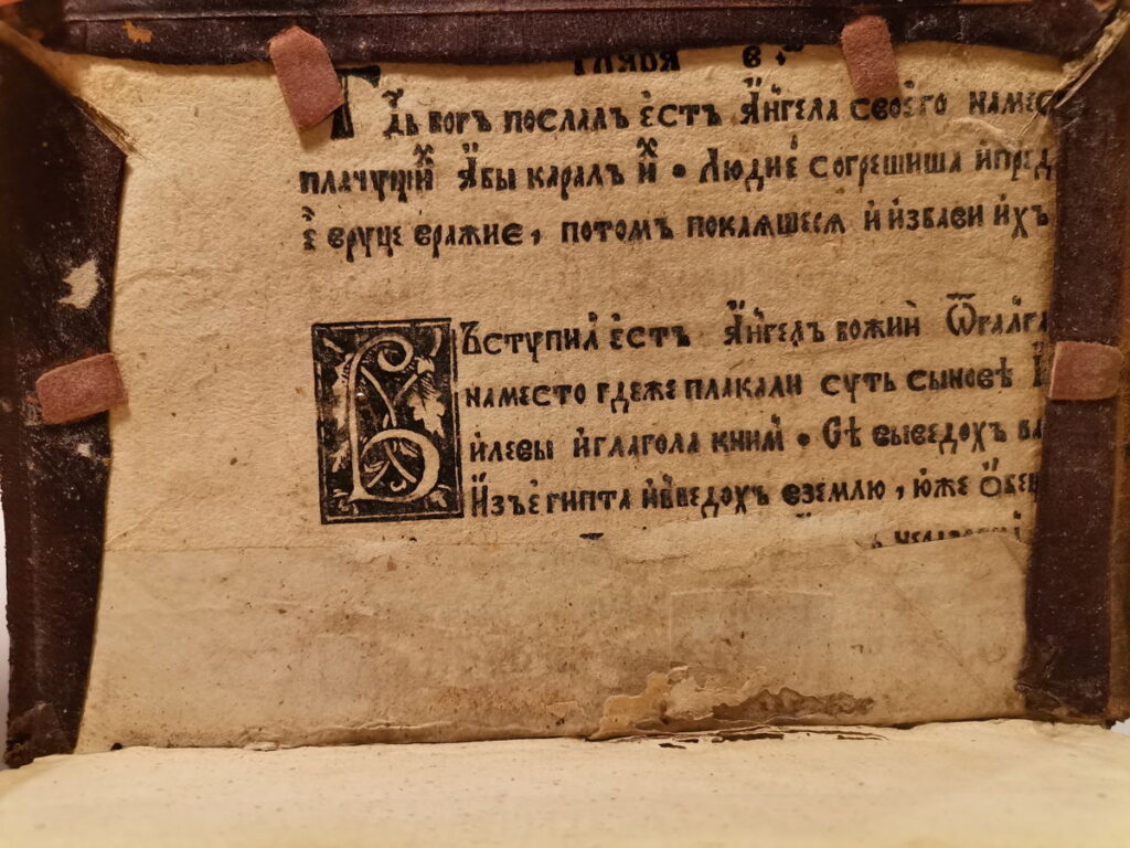 Ил. 1. Передняя часть переплета. Книга Судей, л. 6 об., фрагмент (Прага, 15.12.1519 г.). Фото автора